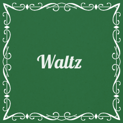 Waltz Group Dance Lesson